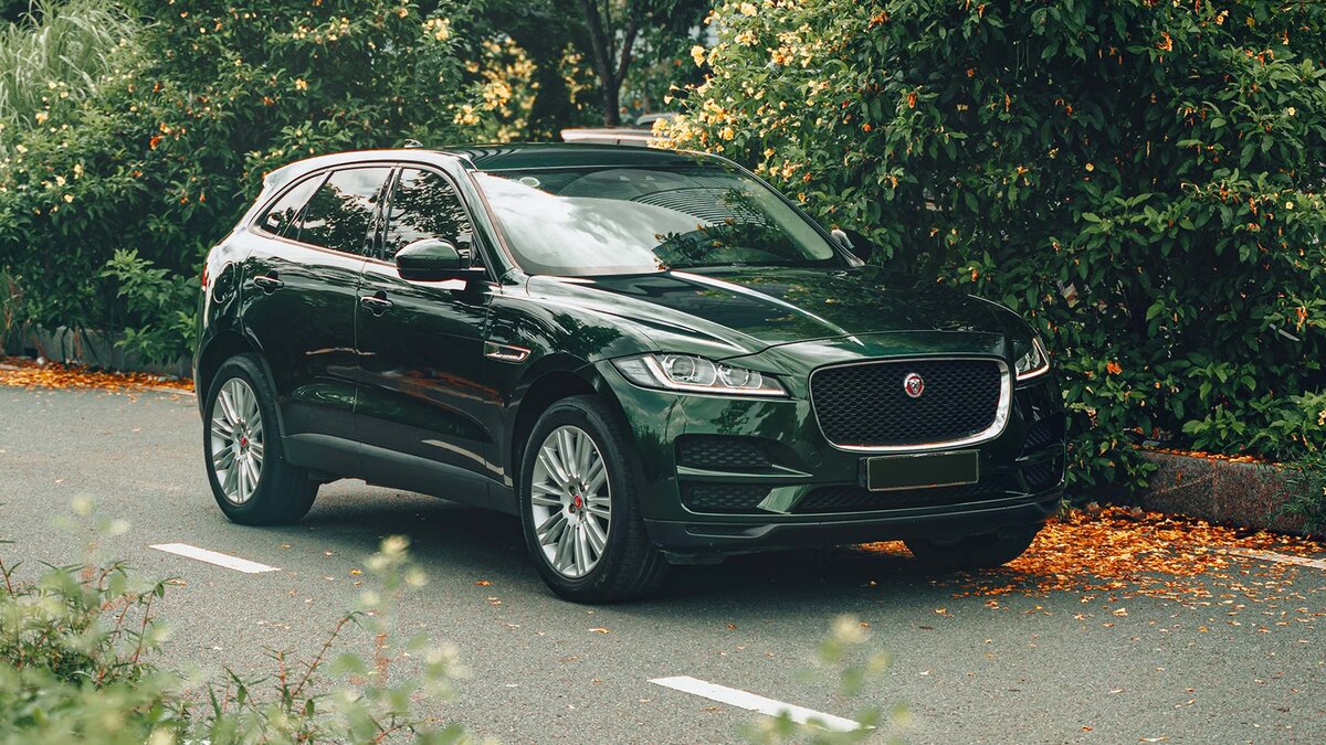 Jaguar F-Pace - Midnight Green Wrap - cover