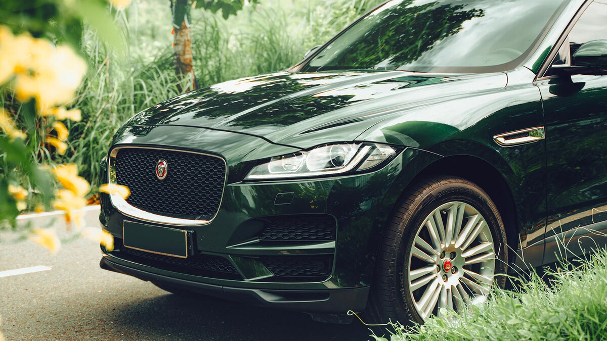 Jaguar F-Pace - Midnight Green Wrap - img 6